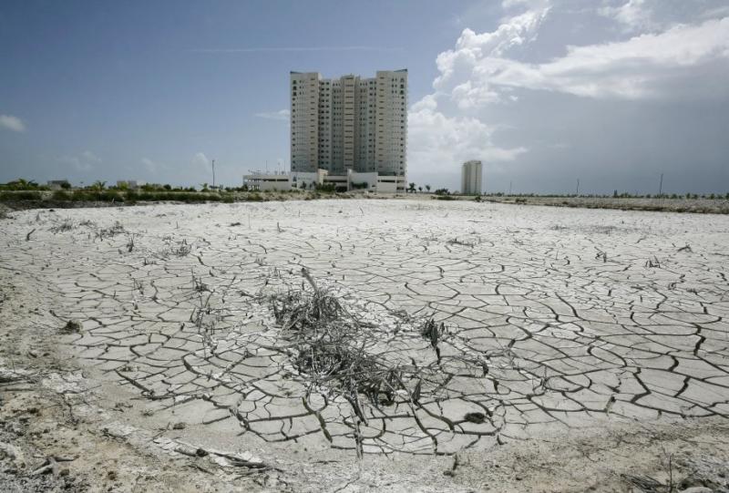 DEFORESTAZIONE A CANCUN