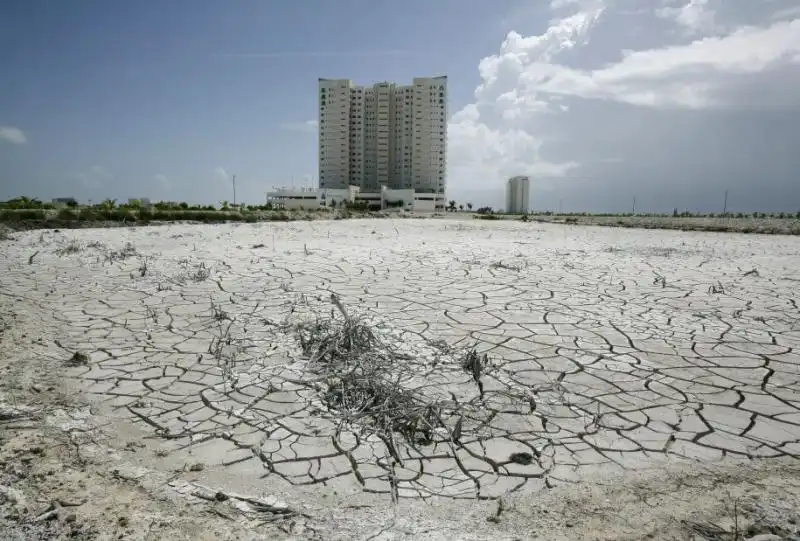 DEFORESTAZIONE A CANCUN 