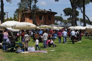 Pic nic all aperto