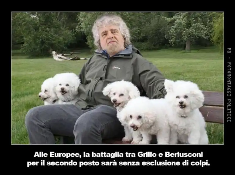 GRILLO CON I CANI 