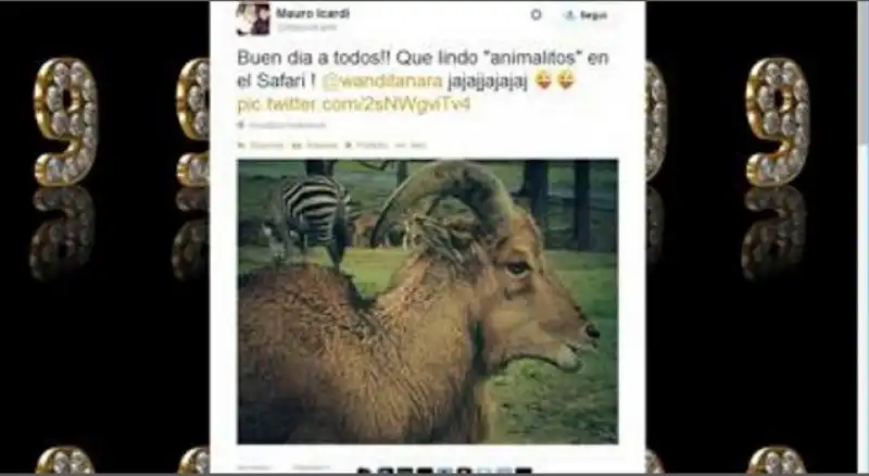 ICARDI E IL TWEET SFOTTO CON IL MUFLONE E LE CORNA 