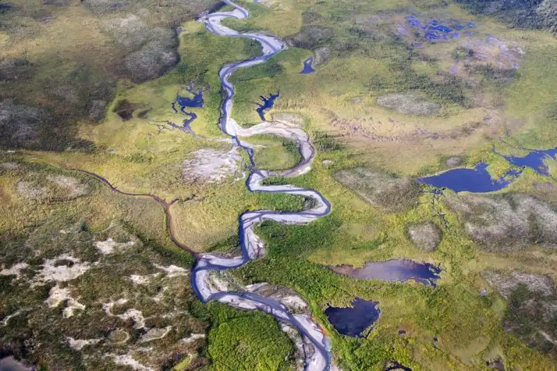 Moose Pond in Canada 