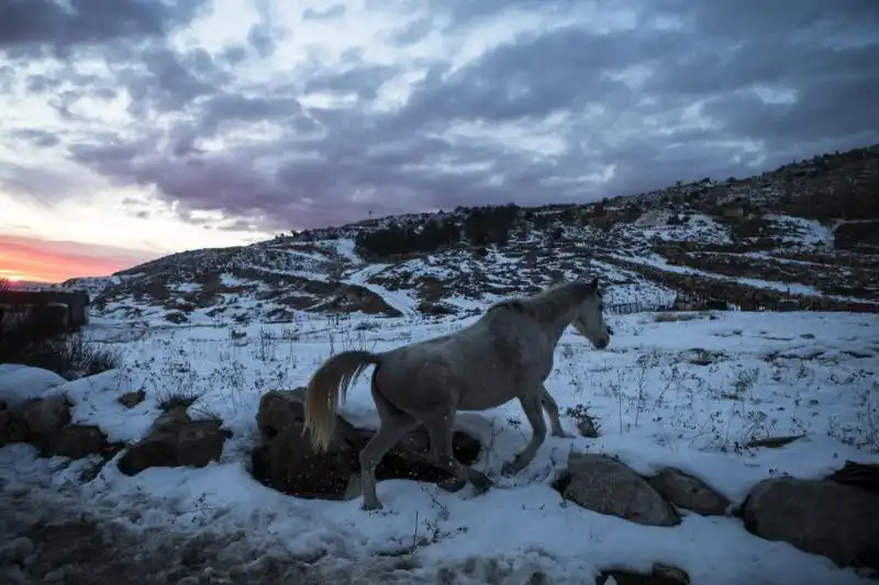 Neve sul Golan 