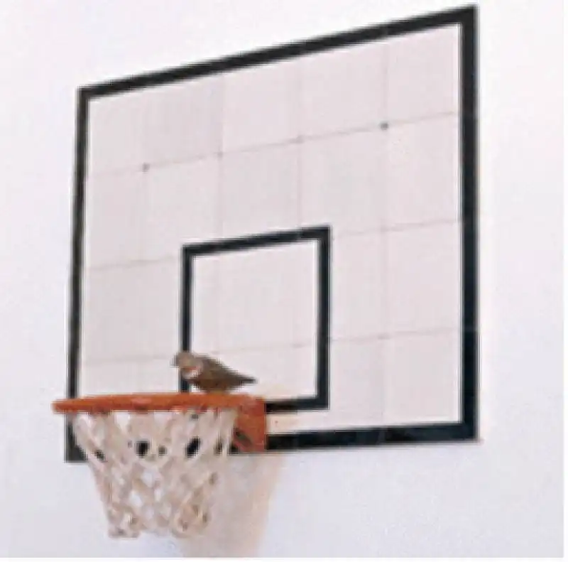 canestro da basket con uccellino