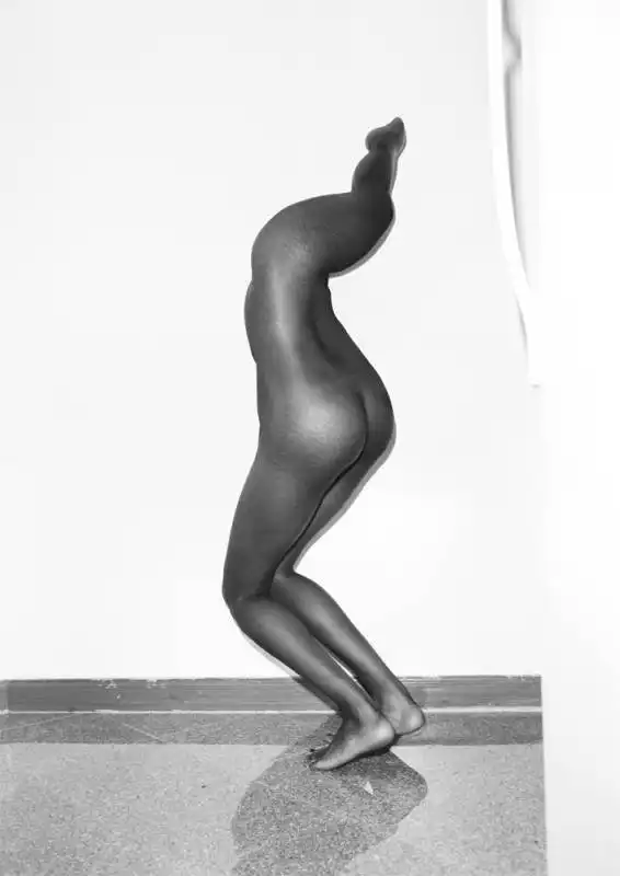 corpo pongo di asger carlsen