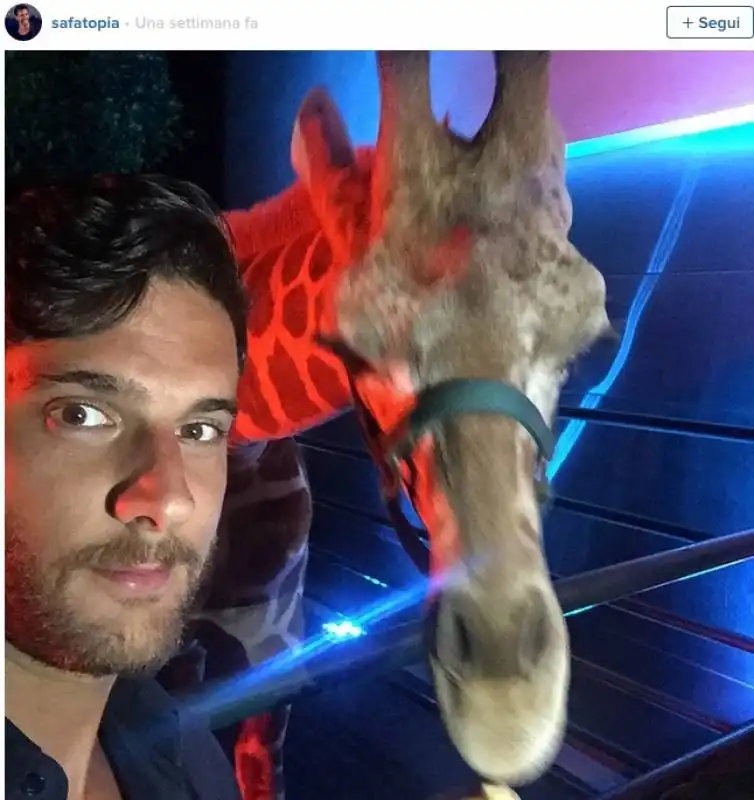 dan bilzerian party con la giraffa  13