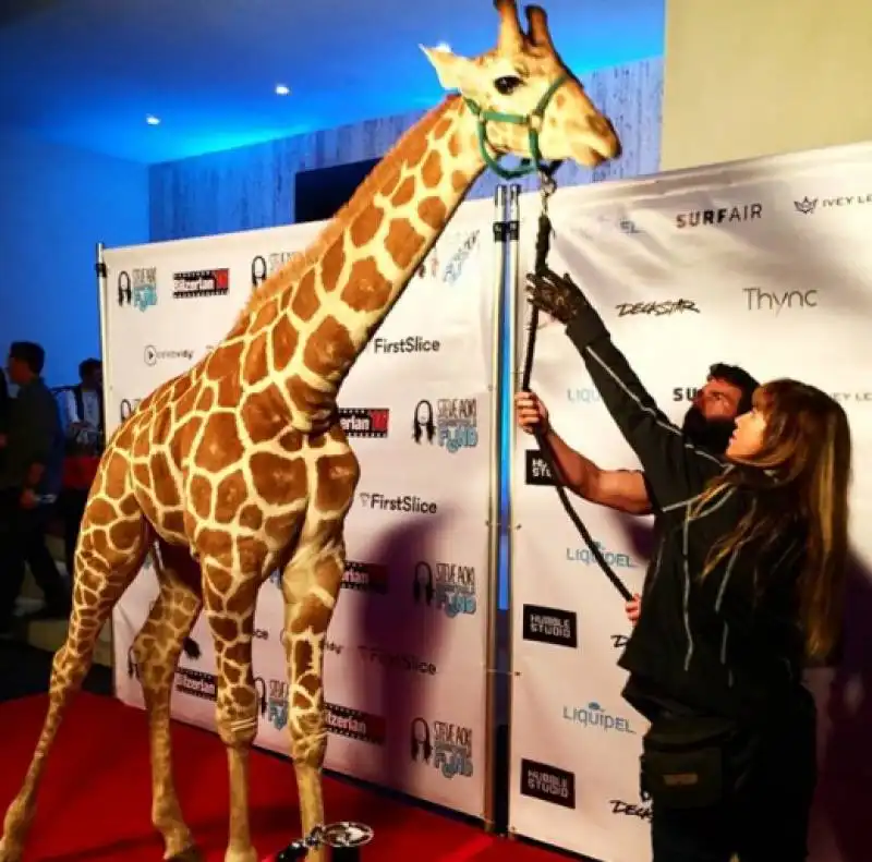 dan bilzerian party con la giraffa  2