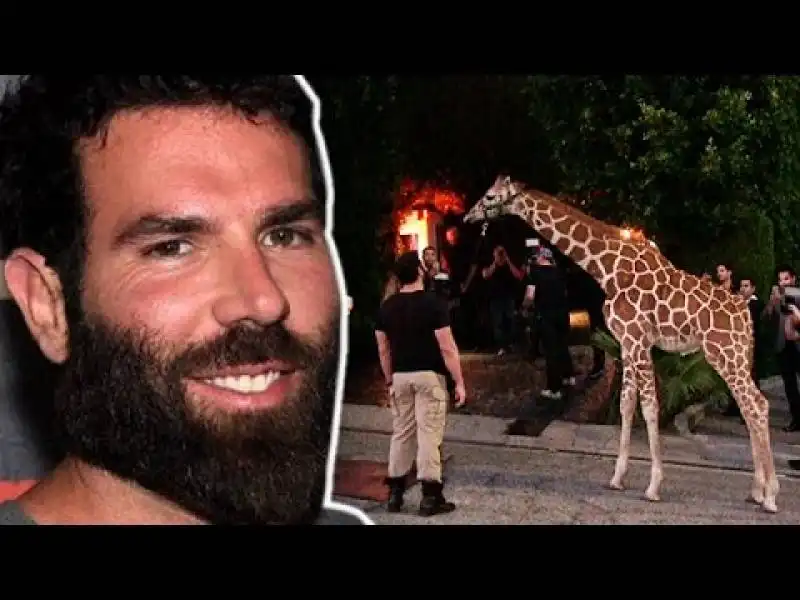 dan bilzerian party con la giraffa  5