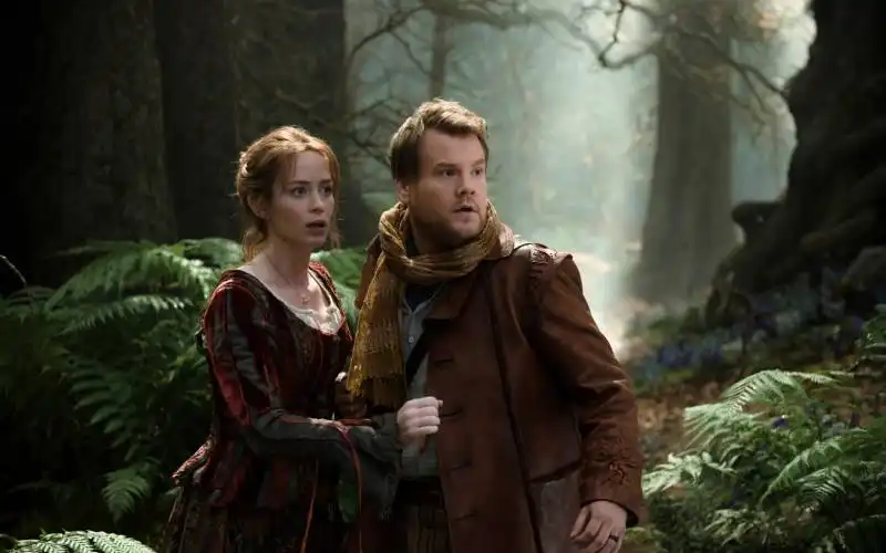 into the woods