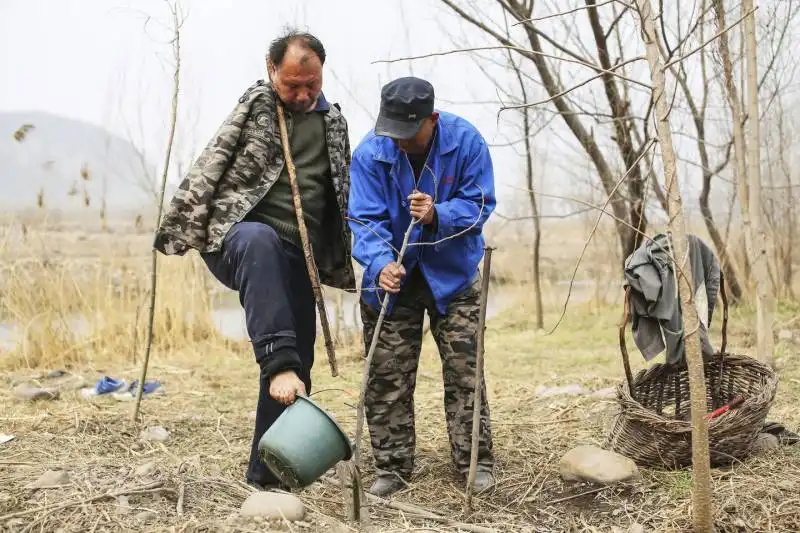 jia haixa e jia wenqi 6