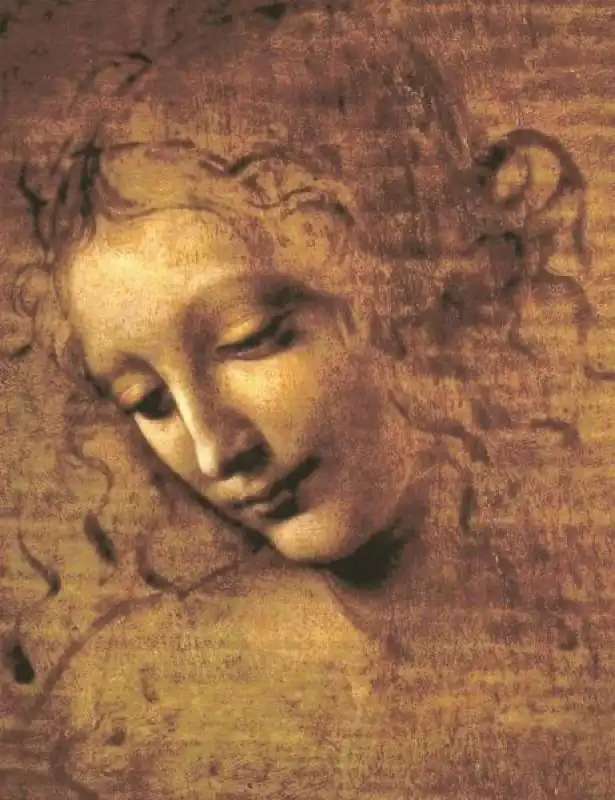   leonardo da vinci, la scapiliata 6 461x600