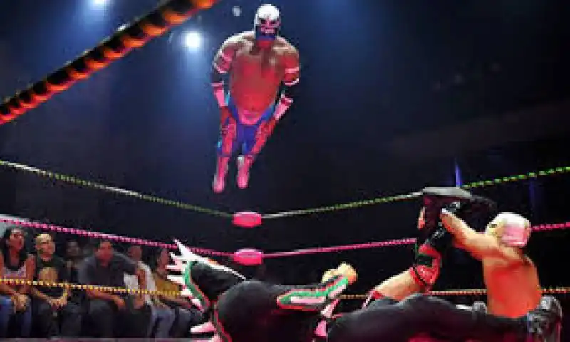 lucha libre 2