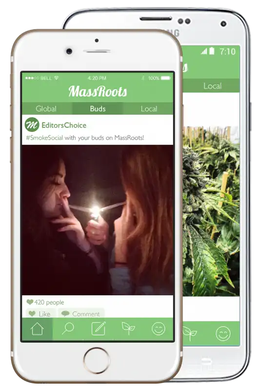 massroots social per amanti marijuana