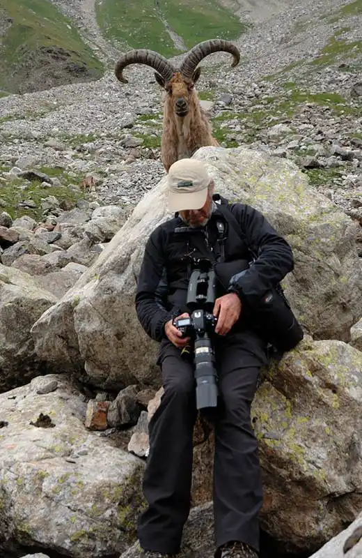 photobomb animali 18