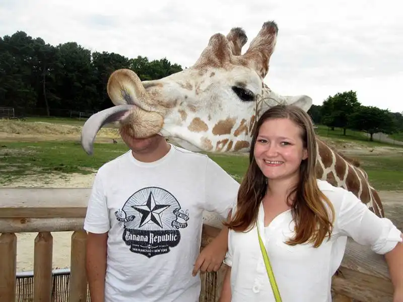 photobomb animali 8