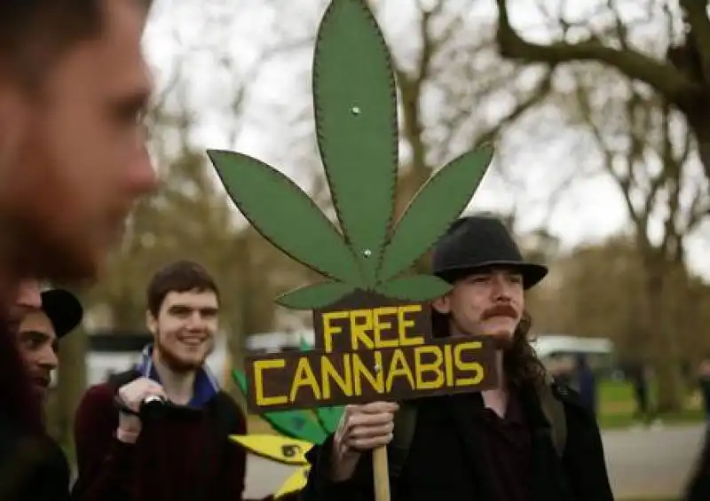 pro cannabis a londra