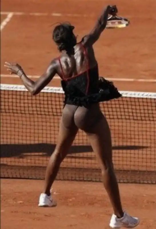 tennis venus williams