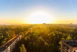 gli alberi su pripyat