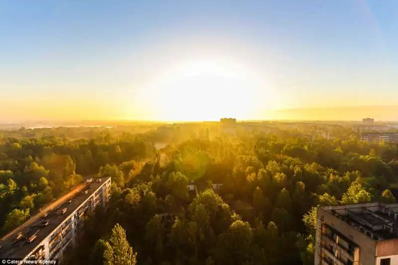 gli alberi su pripyat