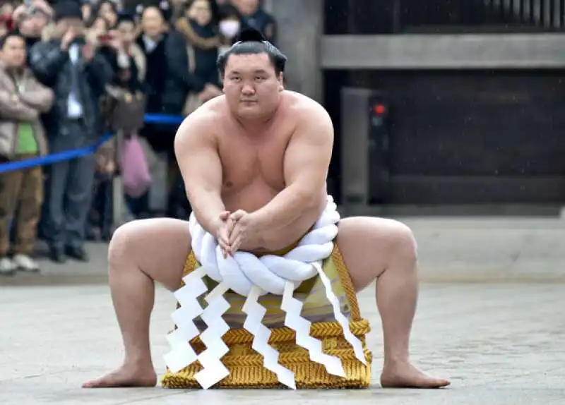 hakuho sho