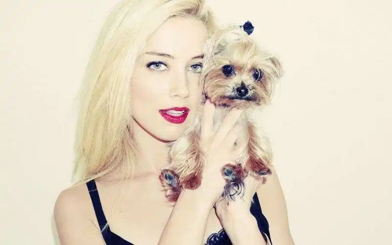 johnny depp amber heard cani australia 4