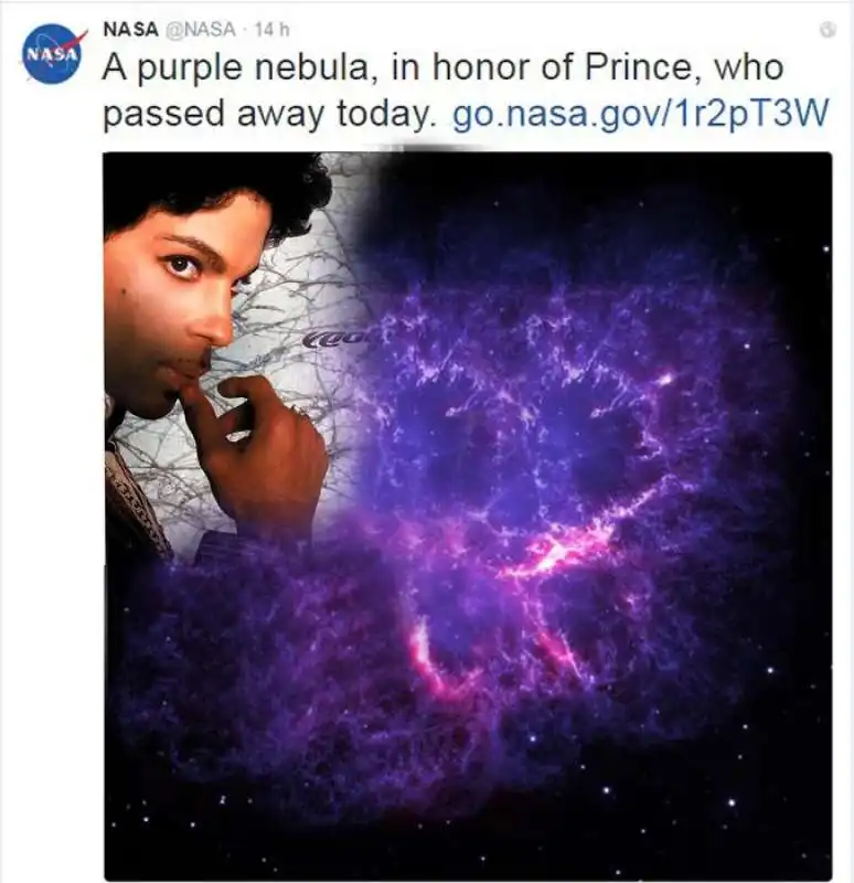 prince 7