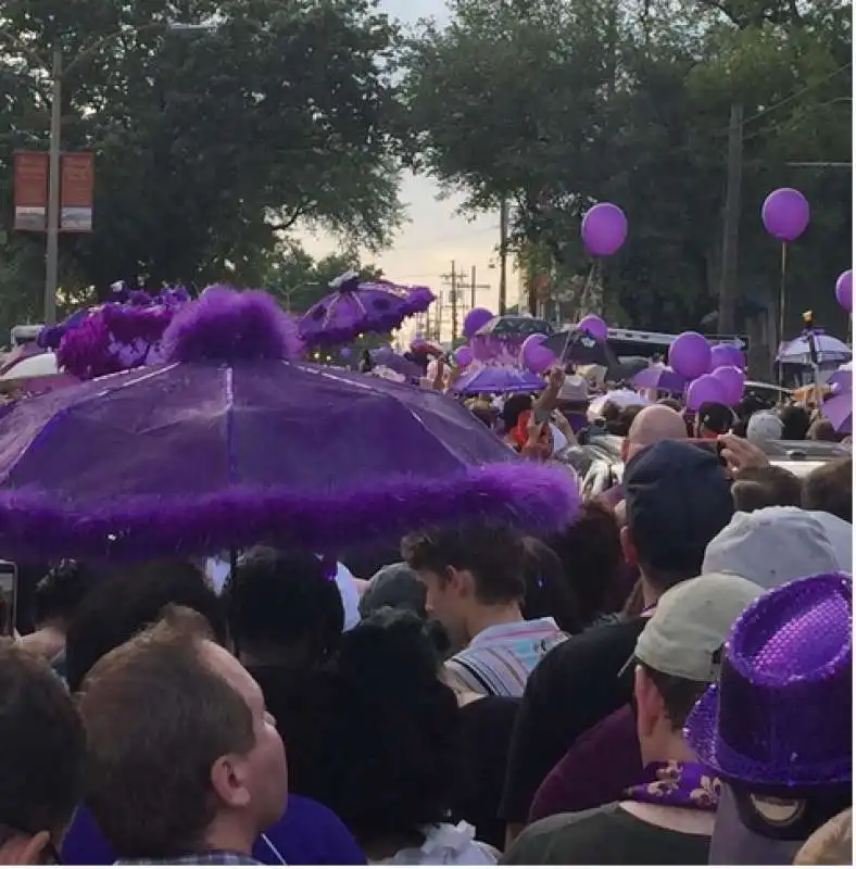 purple nola per prince