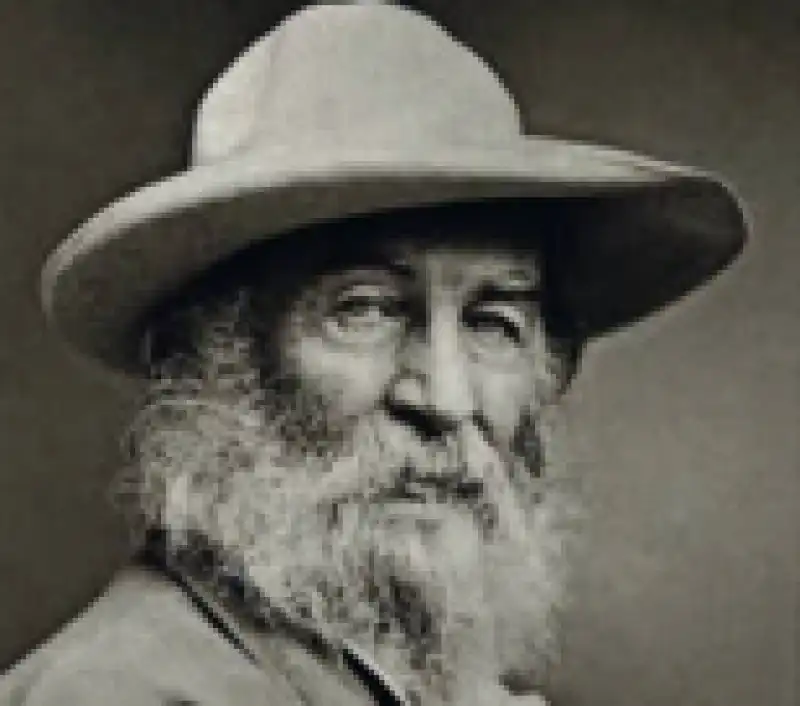 walt whitman