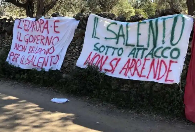 ulivi in puglia   la protesta dei no tap 2