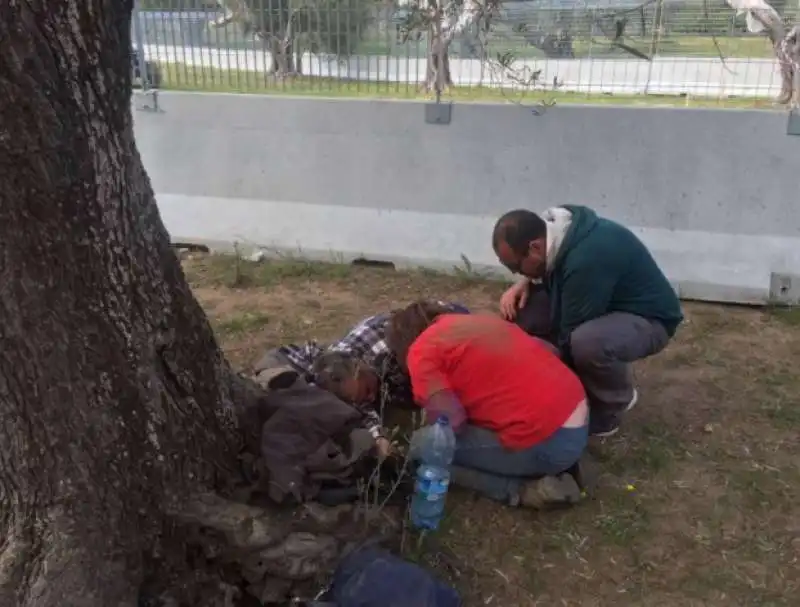 ulivi in puglia   la protesta dei no tap 5