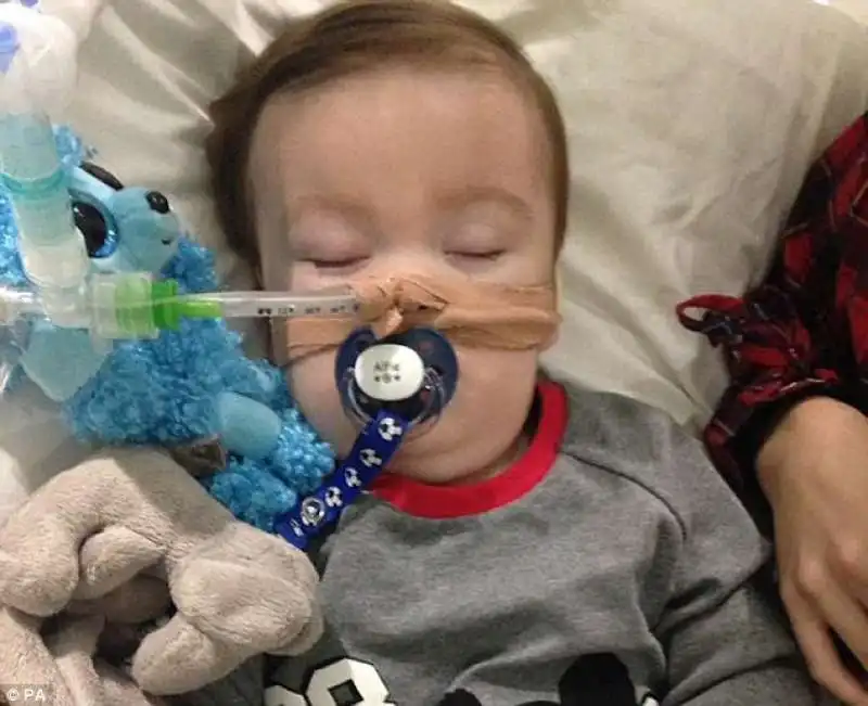 alfie evans