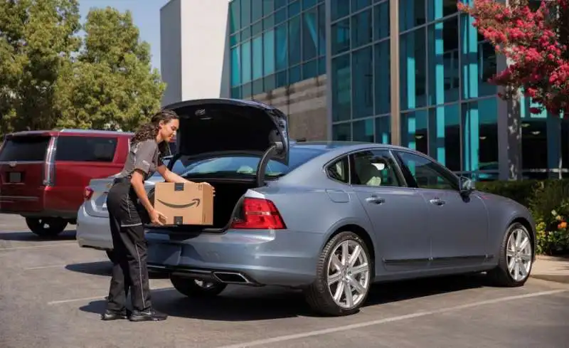 amazon in  car delivery