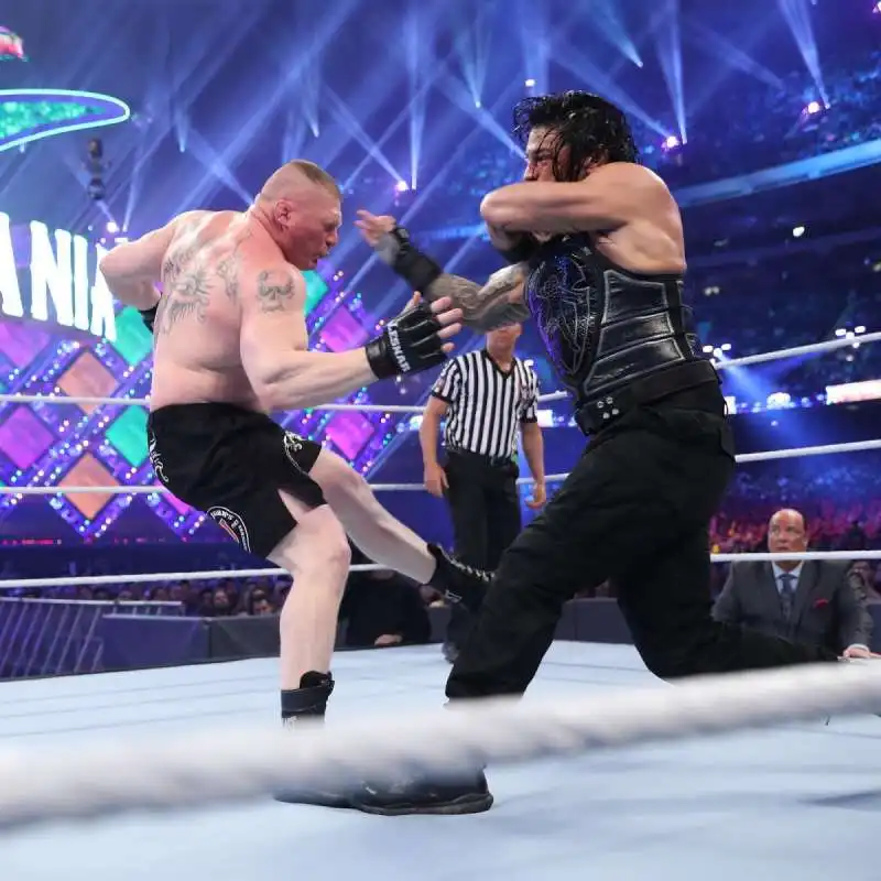 brock lesnar e roman reigns