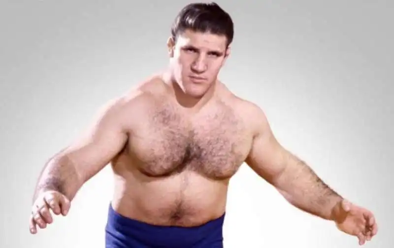 bruno sammartino 6