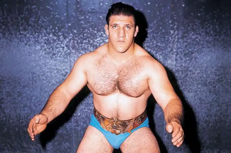 bruno sammartino 9