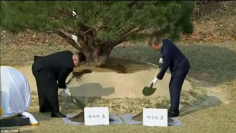 kim jong un  moon jae in  piantano alberi