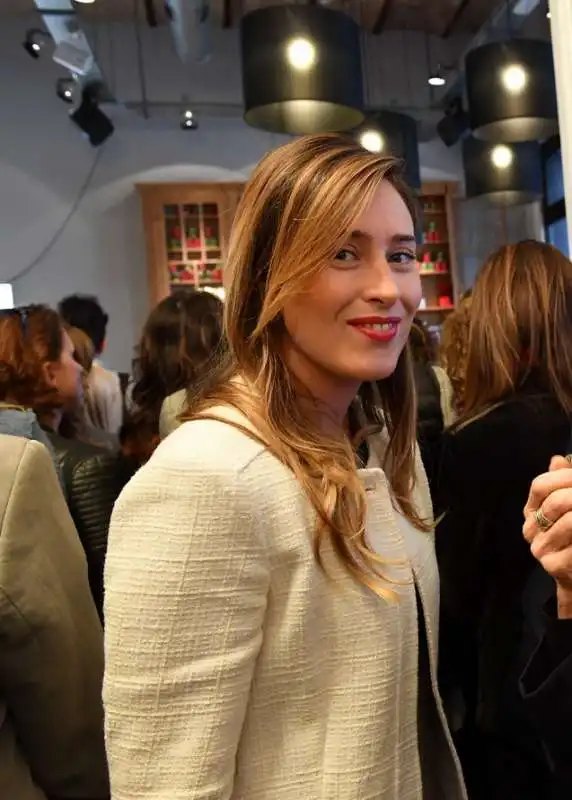 maria elena boschi