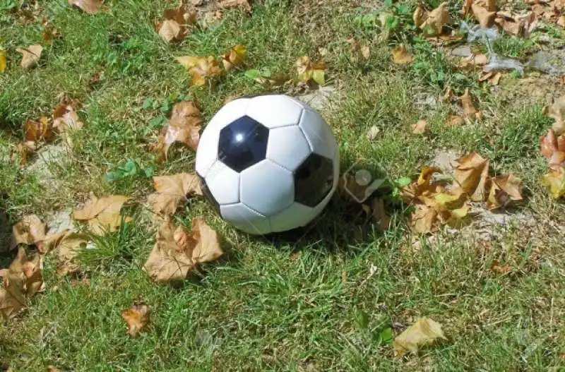 pallone da calcio