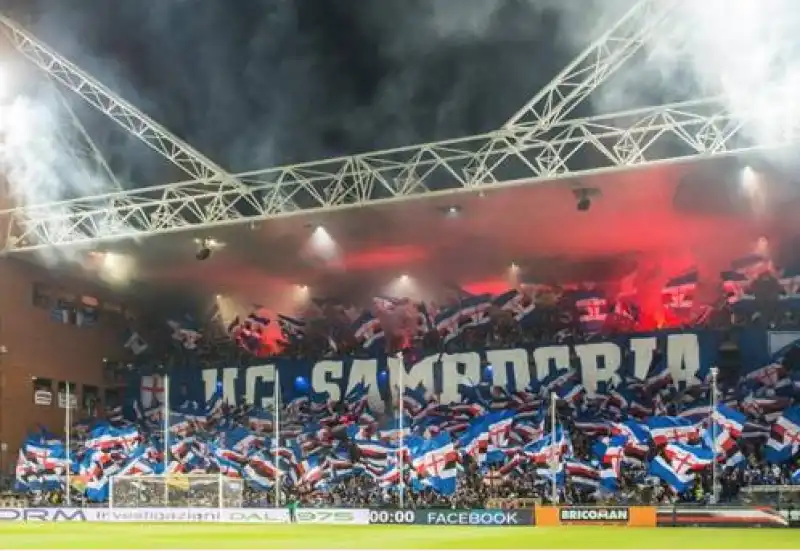 samp tifosi