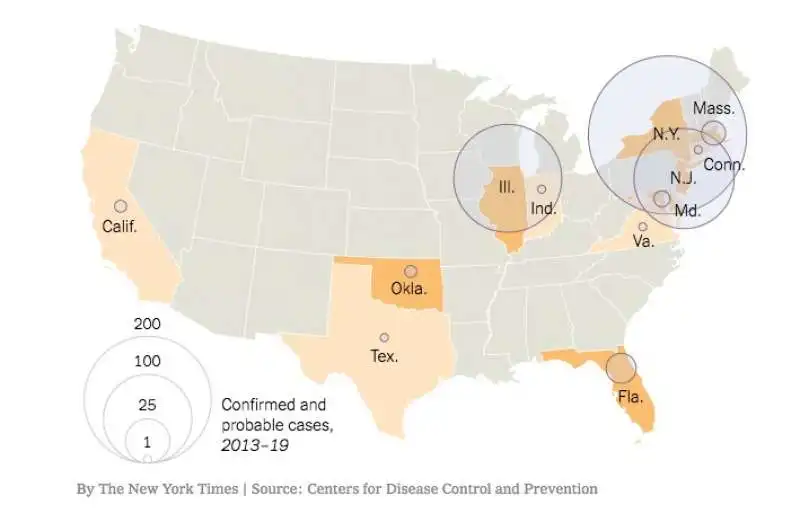 CASI DI CANDIDA AURIS IN AMERICA