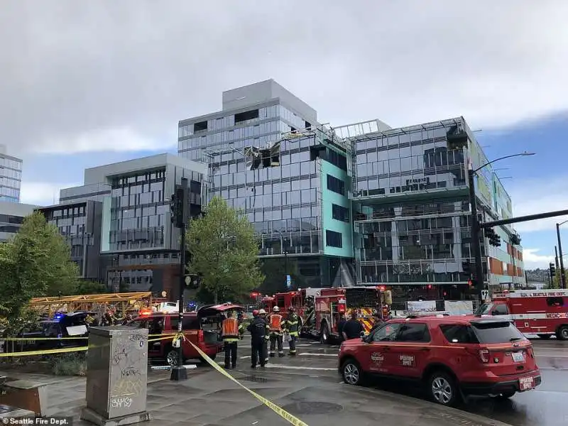 gru crolla al campus di google di seattle 6