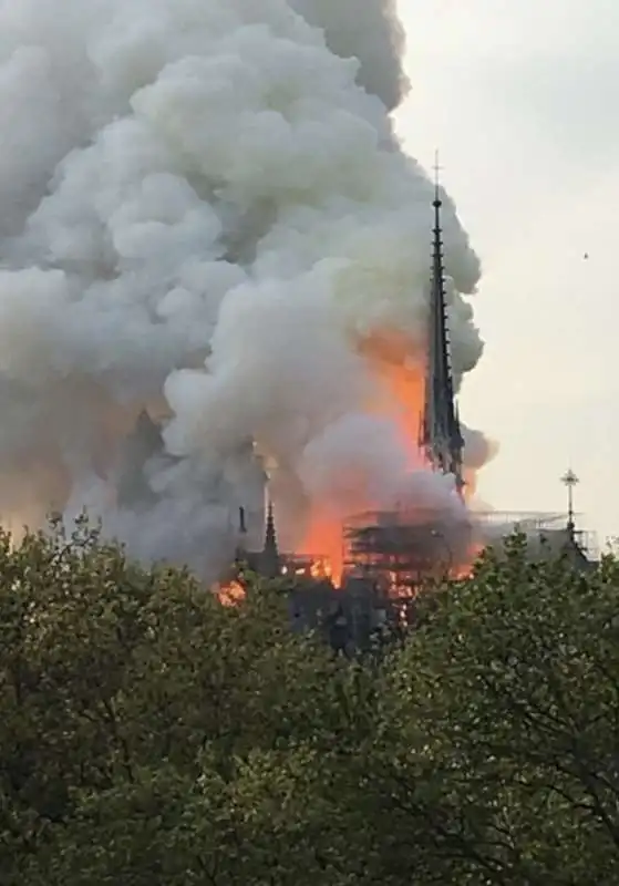 incendio notre dame parigi 13