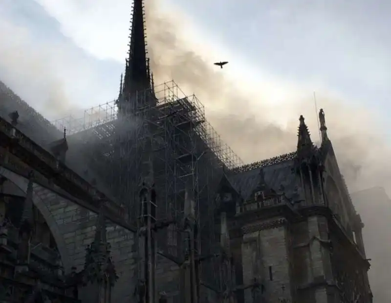 incendio notre dame parigi 3