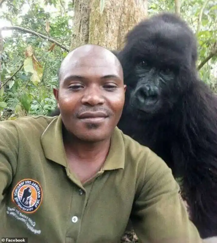 Mathieu Shamavu, guardia del Virunga National Park, uno degli ultimi habitat dei gorilla nella Repubblica Democratica del Congo