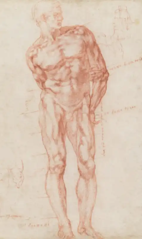 michelangelo THE RENAISSANCE NUDE