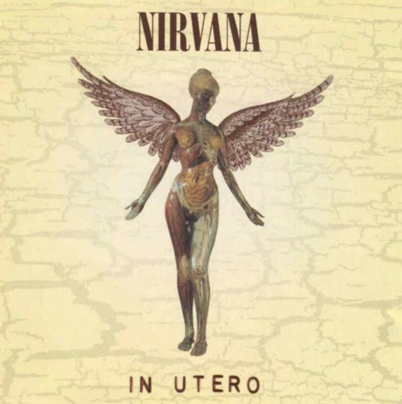 nirvana in utero