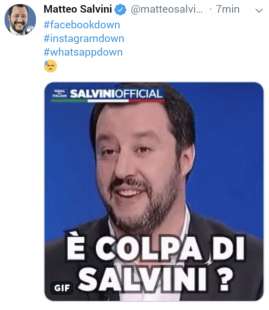 SALVINI FACEBOOKDOWN