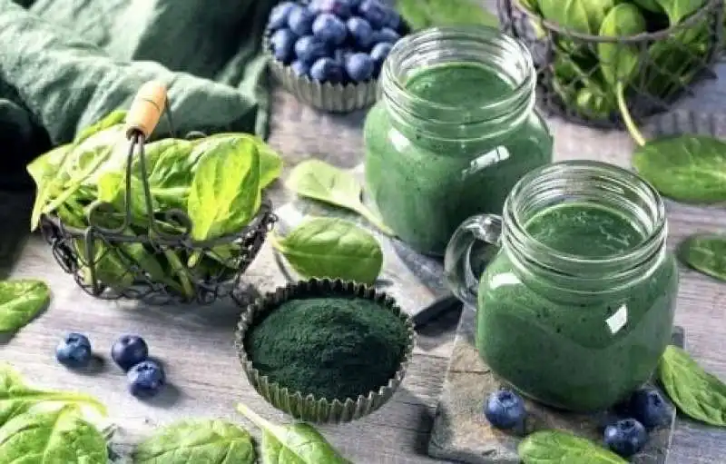 spirulina 1