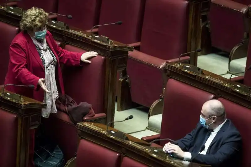 carla cantone enrico borghi alla camera con la mascherina