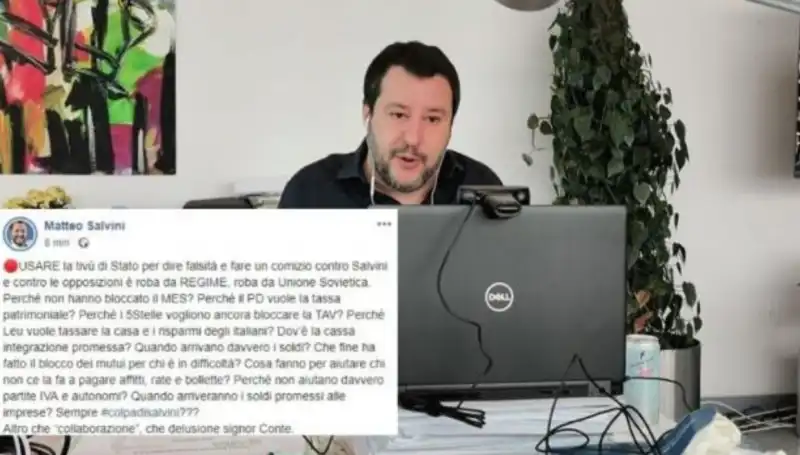 salvini